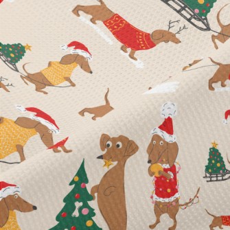 Dachshund Christmas Piqué