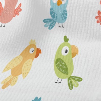 Colorful Parrot With Confused  Terry