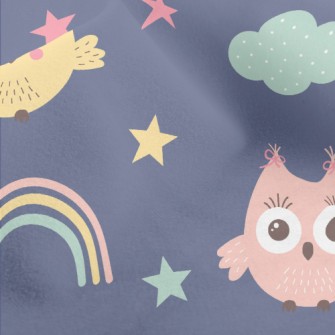 Lovely Rainbow Owl Micro Fleece