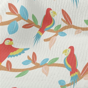 Beautiful And Cute Parrots Terry