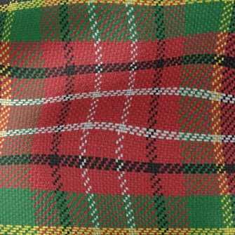 Classic Scotch Plaid Waterproof Canvas
