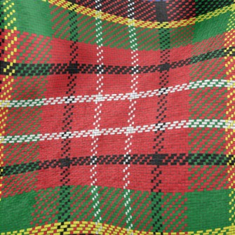 Classic Scotch Plaid Minky
