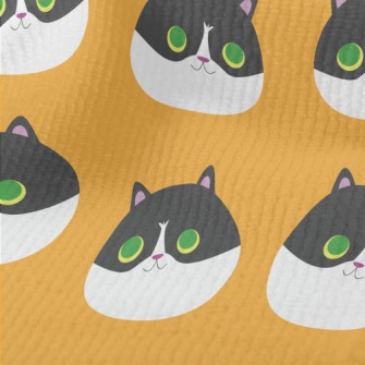 Super Cute Big-eyed Kitten Terry