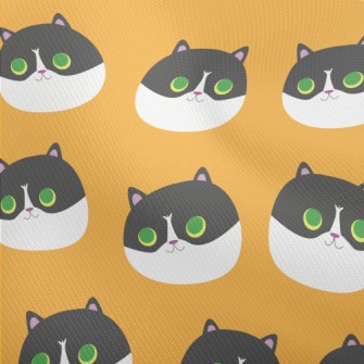 Super Cute Big-eyed Kitten Dobby