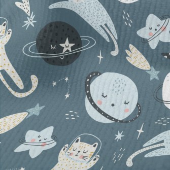 Cats And Solar Systems Sleepin Terry