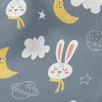 The Rabbit And The Moon Sleepi Terry