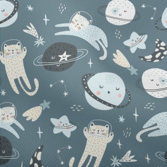Cats And Solar Systems Sleepin Dobby