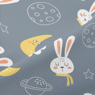 The Rabbit And The Moon Sleepi Piqué