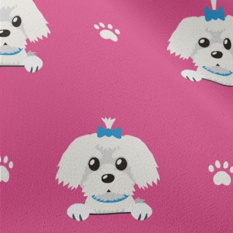 The Lovable Maltese Chiffon