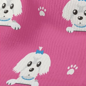 The Lovable Maltese Terry