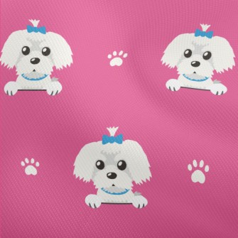 The Lovable Maltese Dobby