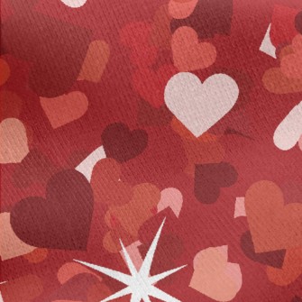 Shining Love Sequins Jersey Backed Fleece