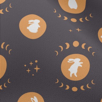Mid-Autumn Festival Moon Rabbi Chiffon
