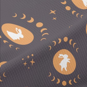Mid-Autumn Festival Moon Rabbi Piqué