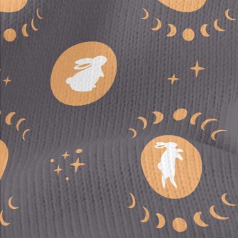 Mid-Autumn Festival Moon Rabbi Stretch Jersey