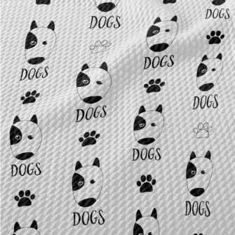 Graffiti Dalmatian Birdseye Piqué