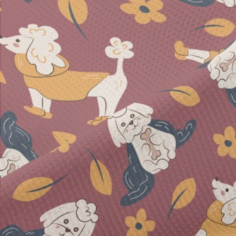 Shih Tzu Vs. Poodle Piqué