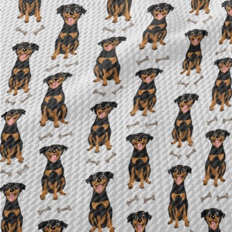 Happy Black Hound Birdseye Piqué