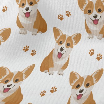 Smiling Corgi Terry