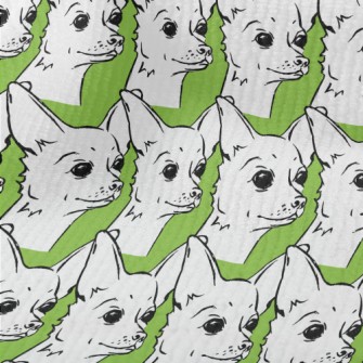 Cute Chihuahua Terry