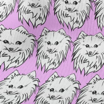 Cute Pomeranian Terry