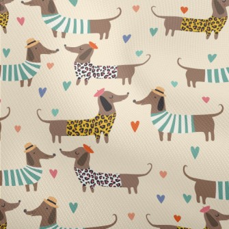 Dressed Up Dachshund Dobby