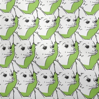 Cute Chihuahua Dobby