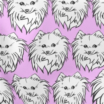 Cute Pomeranian Stretch Ponte