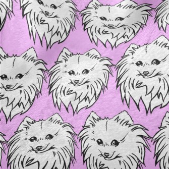 Cute Pomeranian Minky