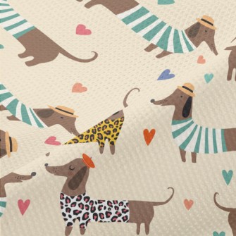 Dressed Up Dachshund Piqué