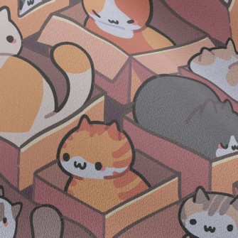 Cardboard Life Kitten Chiffon