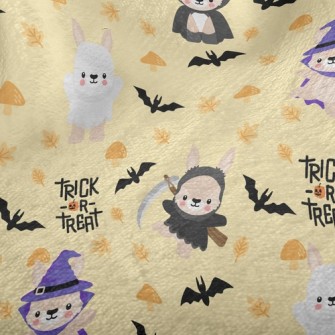 Funny Dressed Up Bunny Minky