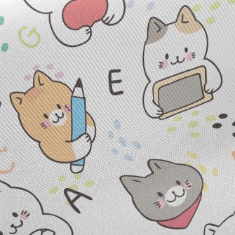 Study Kitten Seriously Twill