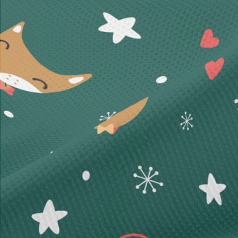 Animals Spend Christmas Well-b Piqué