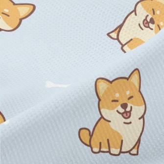 Soft And Chubby Shiba Inu Piqué