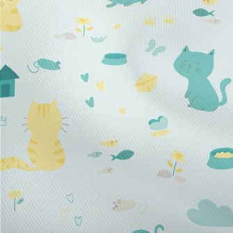 Cute Ordinary Kitten Dobby