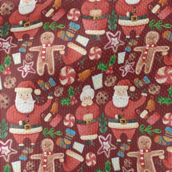 Santa Claus Waterproof Canvas