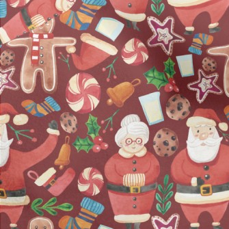 Santa Claus Micro Fleece