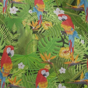 Flowers And Parrots Chiffon