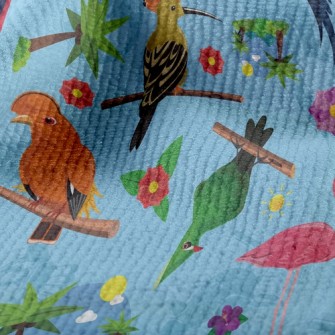 Various Parrots Terry