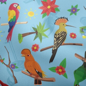 Various Parrots Dobby