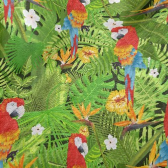 Flowers And Parrots Minky