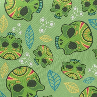 Painted Evil Skull Twill