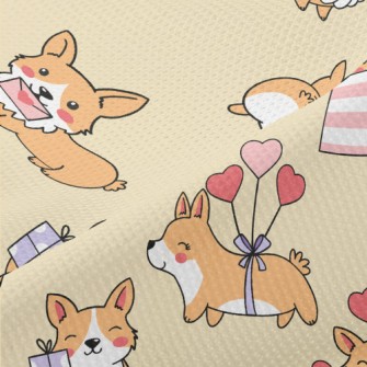 Cute Round Corgi Piqué