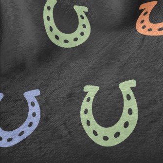 Colorful Horseshoe Pattern Minky
