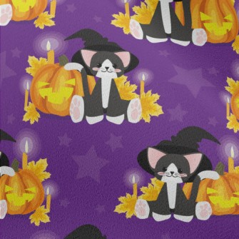 Witch Cat And Evil Pumpkin Chiffon