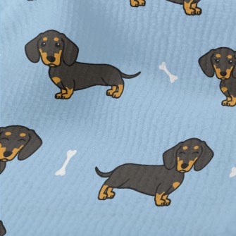 Long Cute Black Dachshund Terry