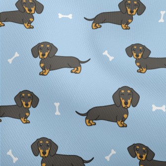 Long Cute Black Dachshund Dobby