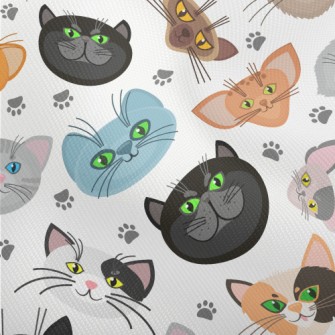 Big Eyes Cat Head Dobby