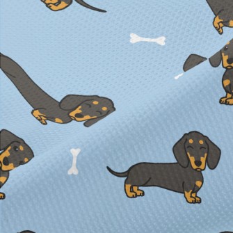 Long Cute Black Dachshund Piqué